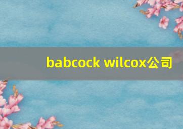 babcock wilcox公司